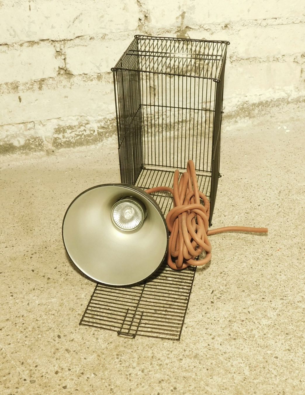 Lampen: Terrarium Lampen-Schutzkorb mit Reflektor leucht E27 & Silik – Gebraucht aus Emmenbrücke von Ulisse-22 2