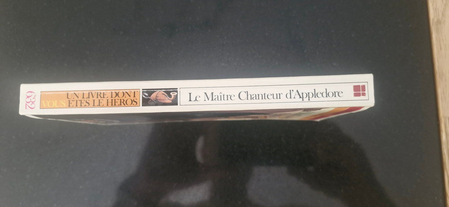 Libri: LDVELH - Le Maître Chanteur d'Appledore – Usato da Belfaux venduto da Fanfouet 2