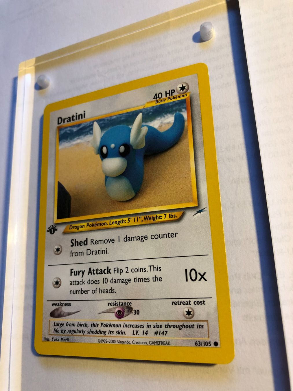 Carte collezionabili: Dratini 1st Neo Destiny - MINT - ab 1.- – Usato da Giubiasco venduto da dan_pr8b 2