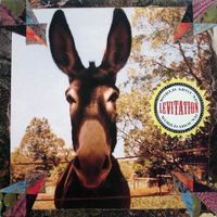 Levitation World around EP