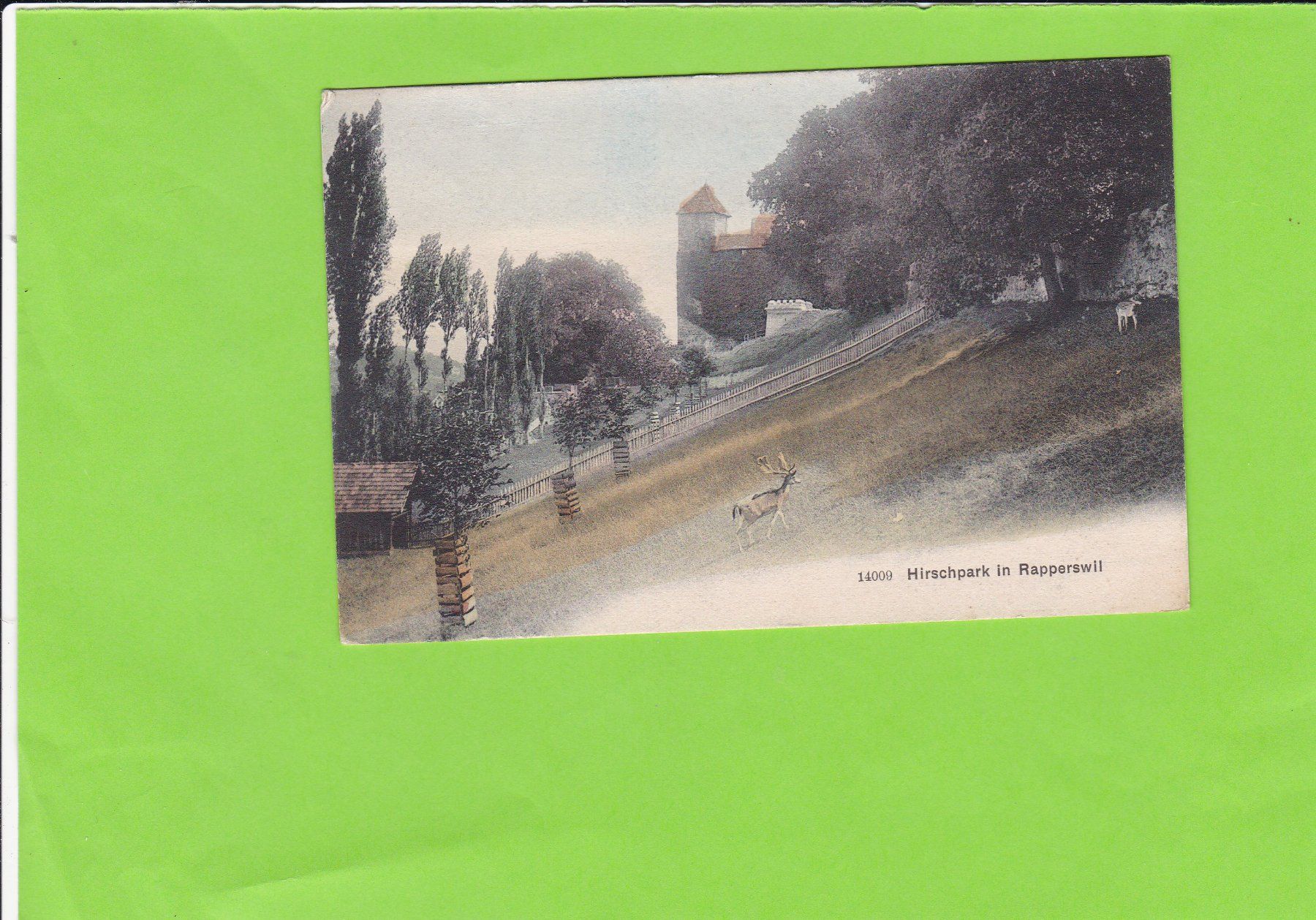 Cartoline postali: Rapperswil-Hirschpark – Usato da St. Peterzell venduto da neckertal