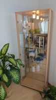 Glasvitrine mit Beleuchtung, Buche hell