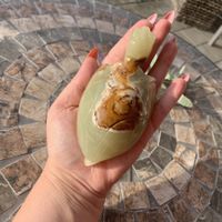 ✲ Afghanische Grüne Jade Schildkröte ✲ 314g / 122mm