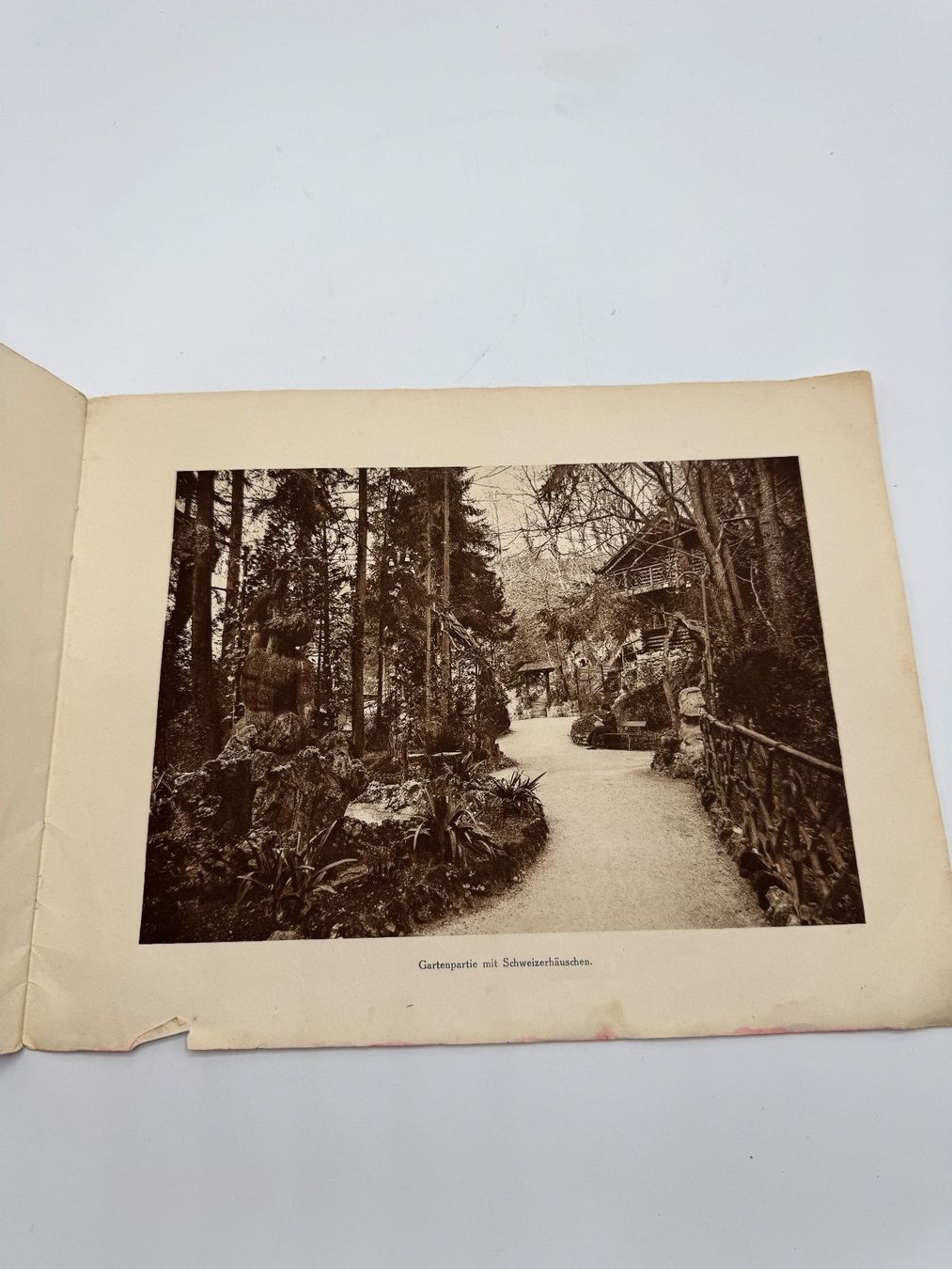 Libri: Original Gletschtergarten Luzern 1872-1925 – Usato da Sachseln venduto da BONATI01 6