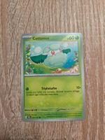 COTTONEE, PRISMATIC EVOLUTIONS, 7, 2025, COM, ITA, NM/MT
