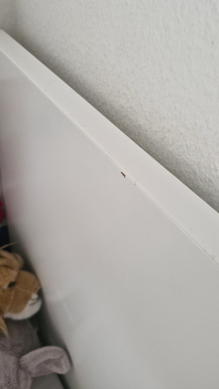 Letti: Kinderbett – Usato da Zürich venduto da mer_78zs 2
