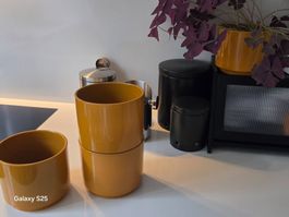 4 Blumetöpfe Bernsteinfarben, 1 x mit Pflanze