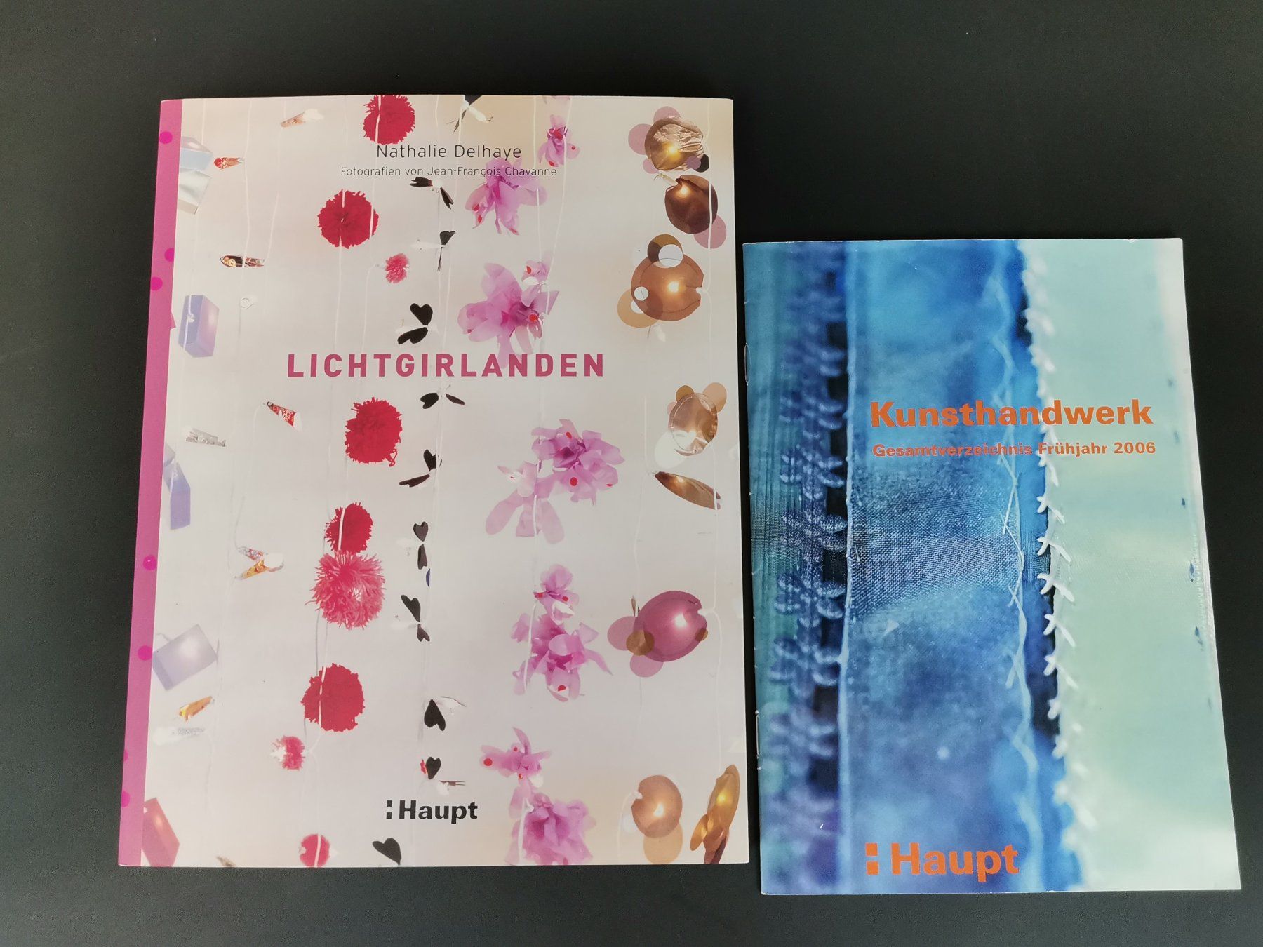 Libri: BUCH Lichtgirlanden – Usato da Schaffhausen venduto da Restwert_SH