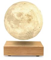Gingko Smart Moon