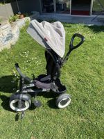 Dreirad Kinder mit Lenkfunktion zum Stoßen und Treten
