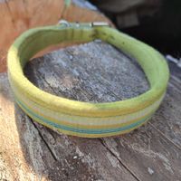 Halsband Hund von "pogo.dog"
