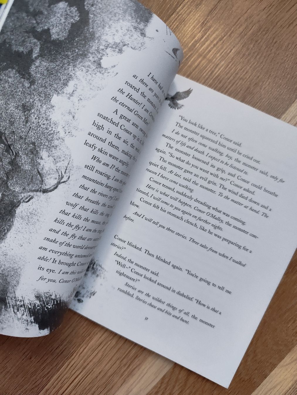 Libri: A Monster Calls by Patrick Ness – Usato da Mägenwil venduto da VintageGirly 3