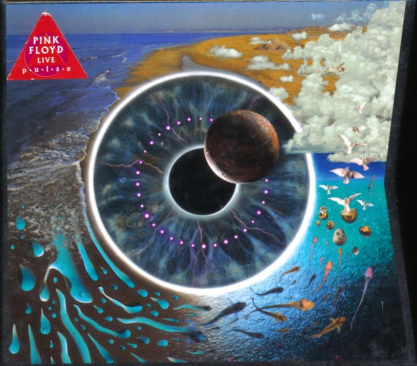 PINK FLOYD - PULSE (2 CD Mediabook) | Kaufen auf Ricardo
