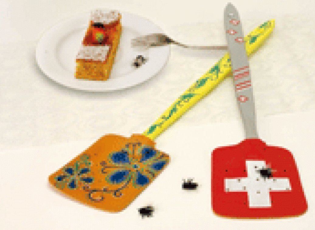 Kit bricolage: mit Kindern basteln: Fliegenklatsche – Nuovo (secondo la descrizione) da Zäziwil venduto da kreative-ideen
