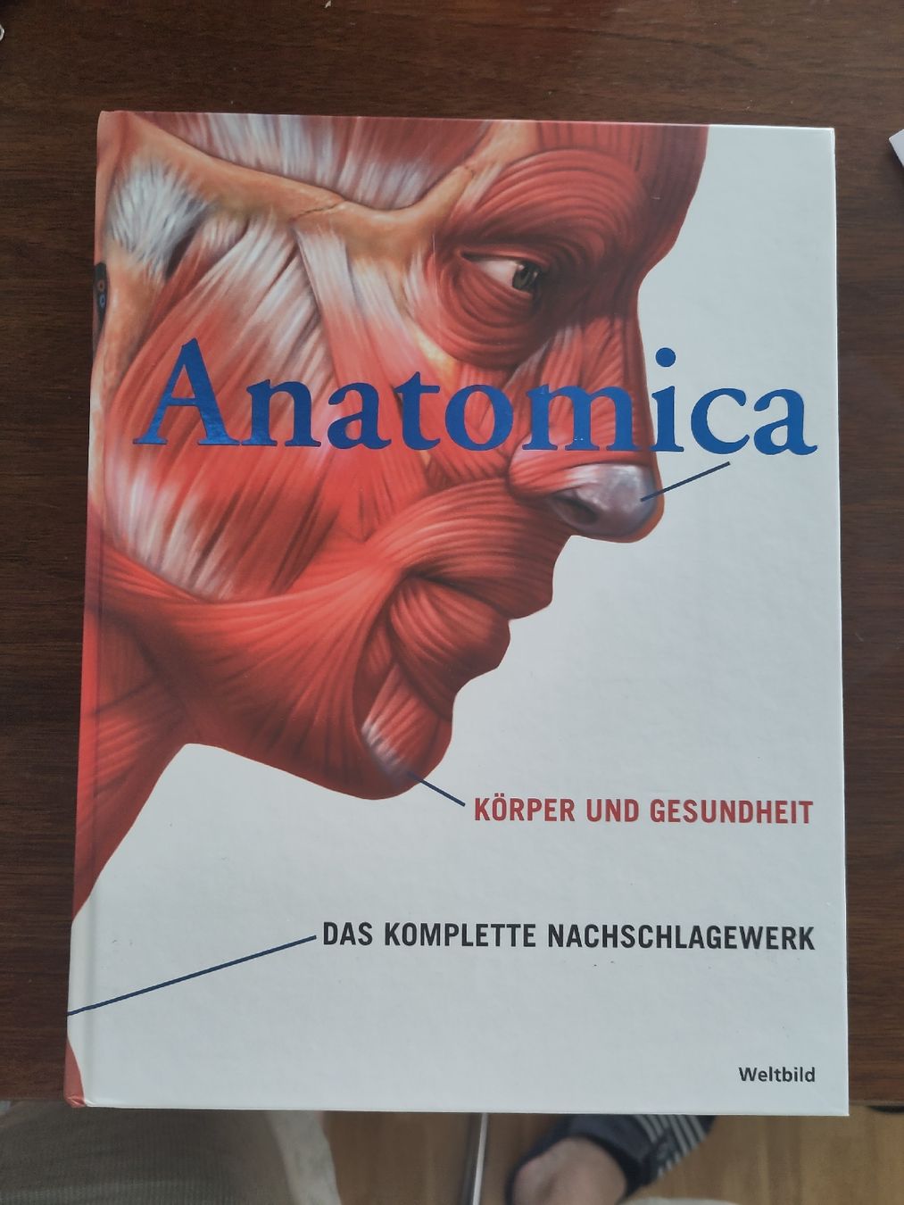 Libri: Anatomica Buch – Usato da Bern venduto da daensun