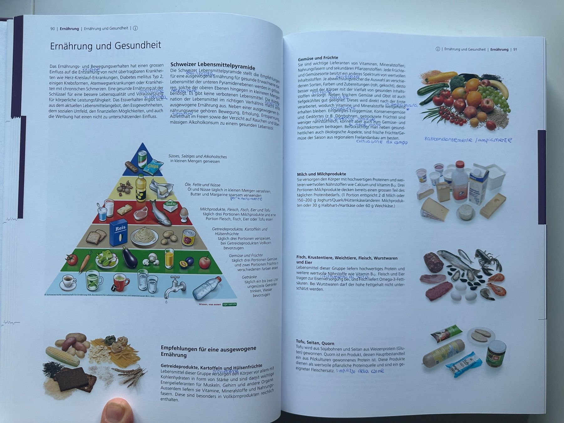 Libri: Pauli Lehrbuch der Küche – Nuovo (secondo la descrizione) da Dietlikon venduto da has_s9fw 1