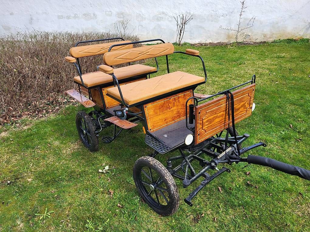 Carrozze: Neuwertige Kutsche Jagdwagen Pony oder Esel – Usato da Rickenbach SZ venduto da Thwe100 2