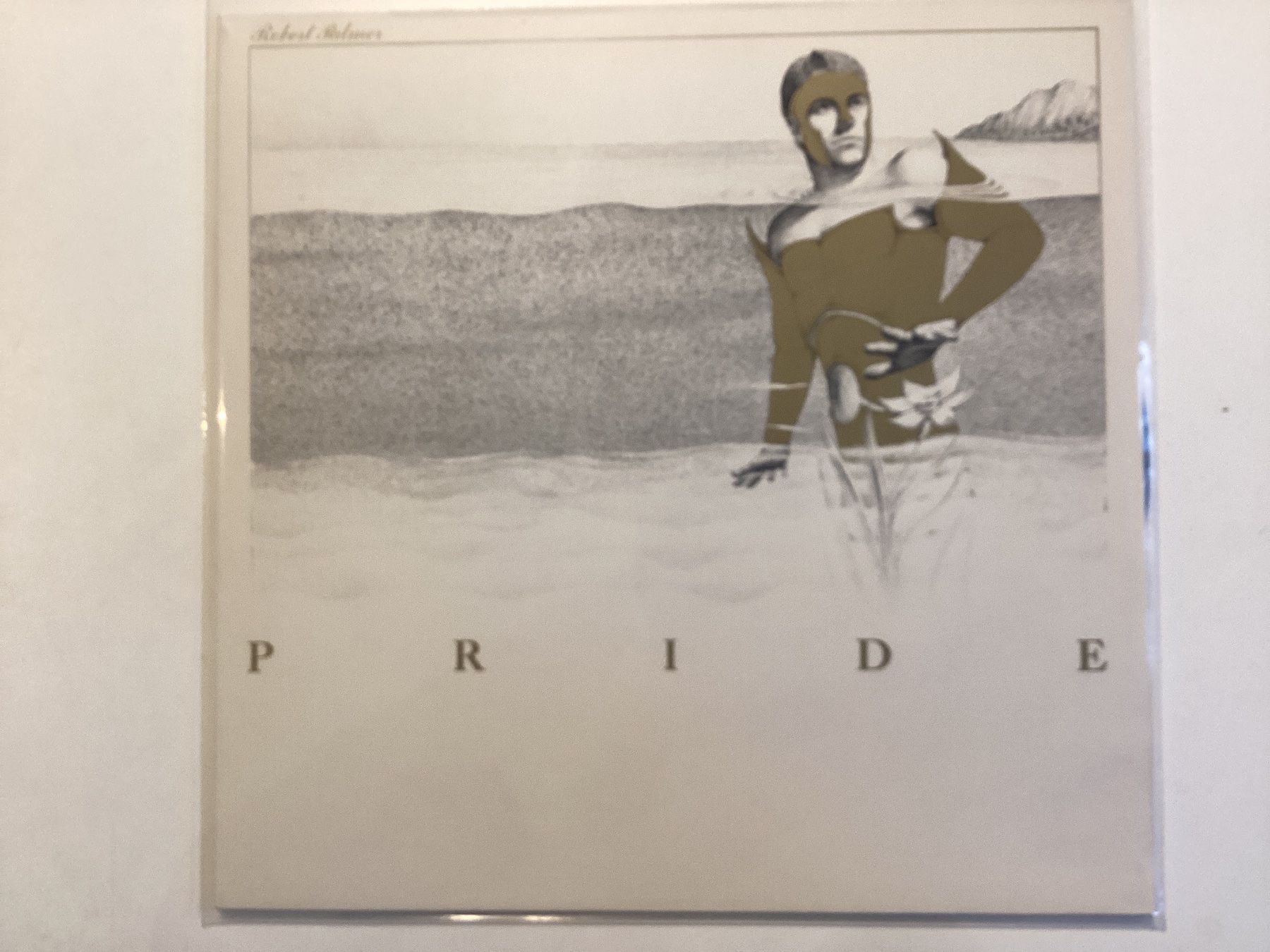 Dischi in vinile: Robert Palmer LP - Pride – Usato da Gutenswil venduto da Hamzian