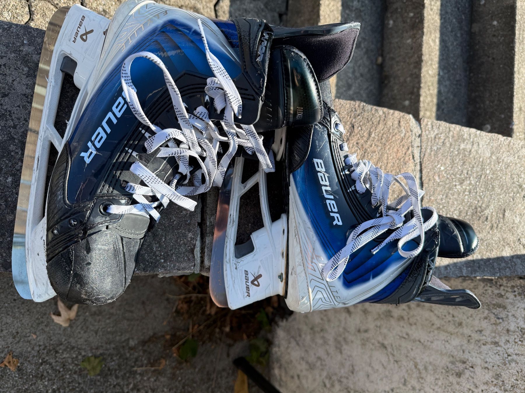 Bauer Schlittschuhe: Bauer Flylite Skates Gr. 43.5/44 – Gebraucht aus Menziken von joe_8l7n