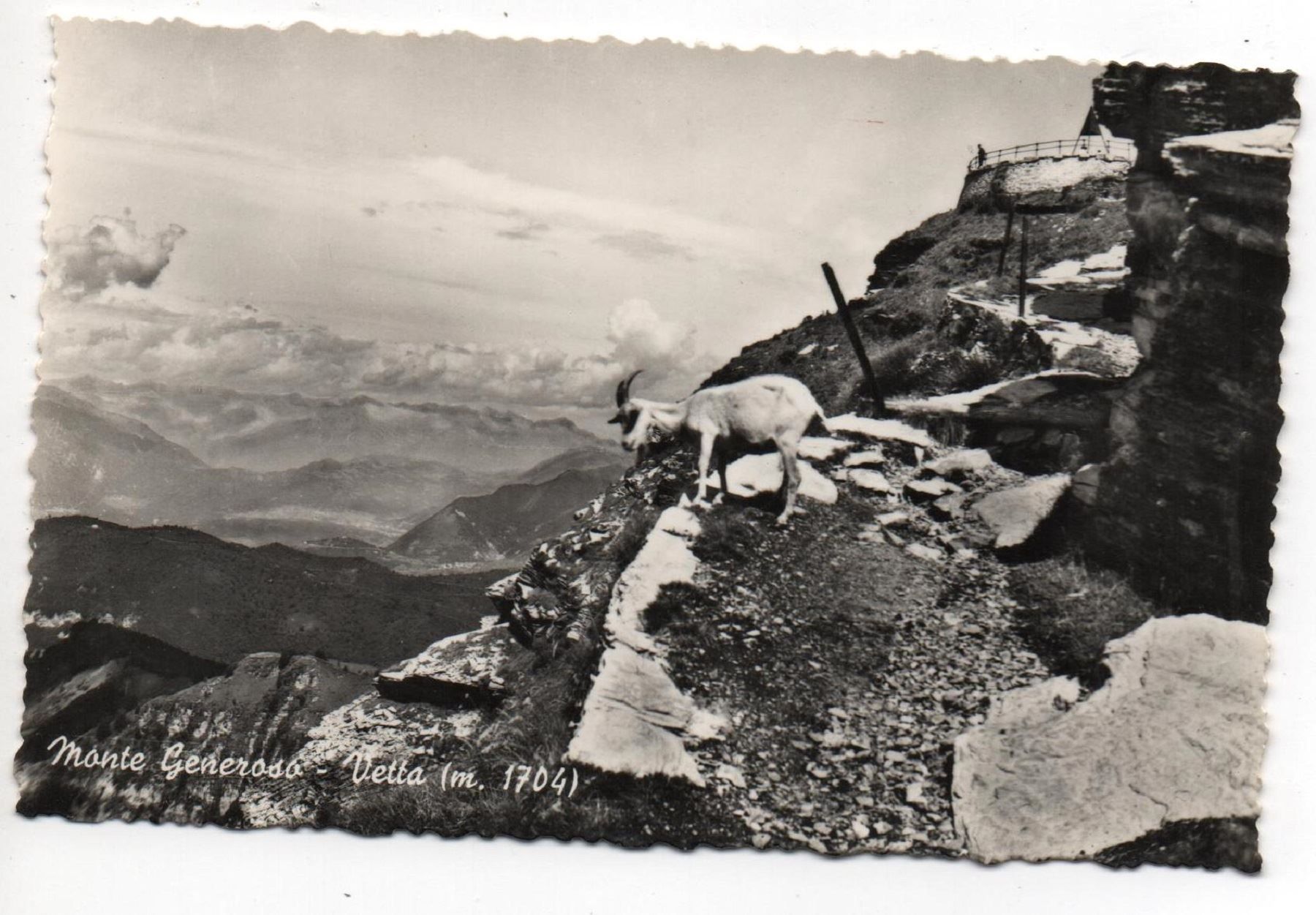 Cartoline postali: MONTE GENEROSO Ziege – Nuovo (secondo la descrizione) da Jona venduto da philajona