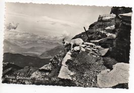 MONTE GENEROSO Ziege