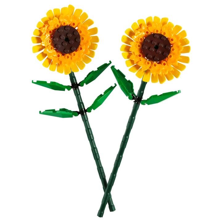 Lego Baukästen: LEGO Botanicals Sonnenblumen – Gebraucht aus Uster von g21_d9lv 1