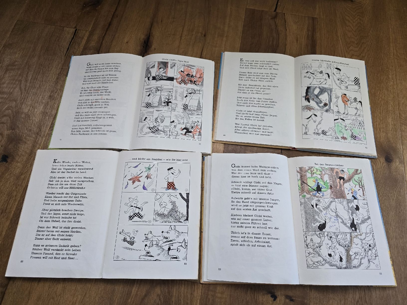 Libri: alte globi bücher  set – Usato da Wittenbach venduto da Tigerlili 8