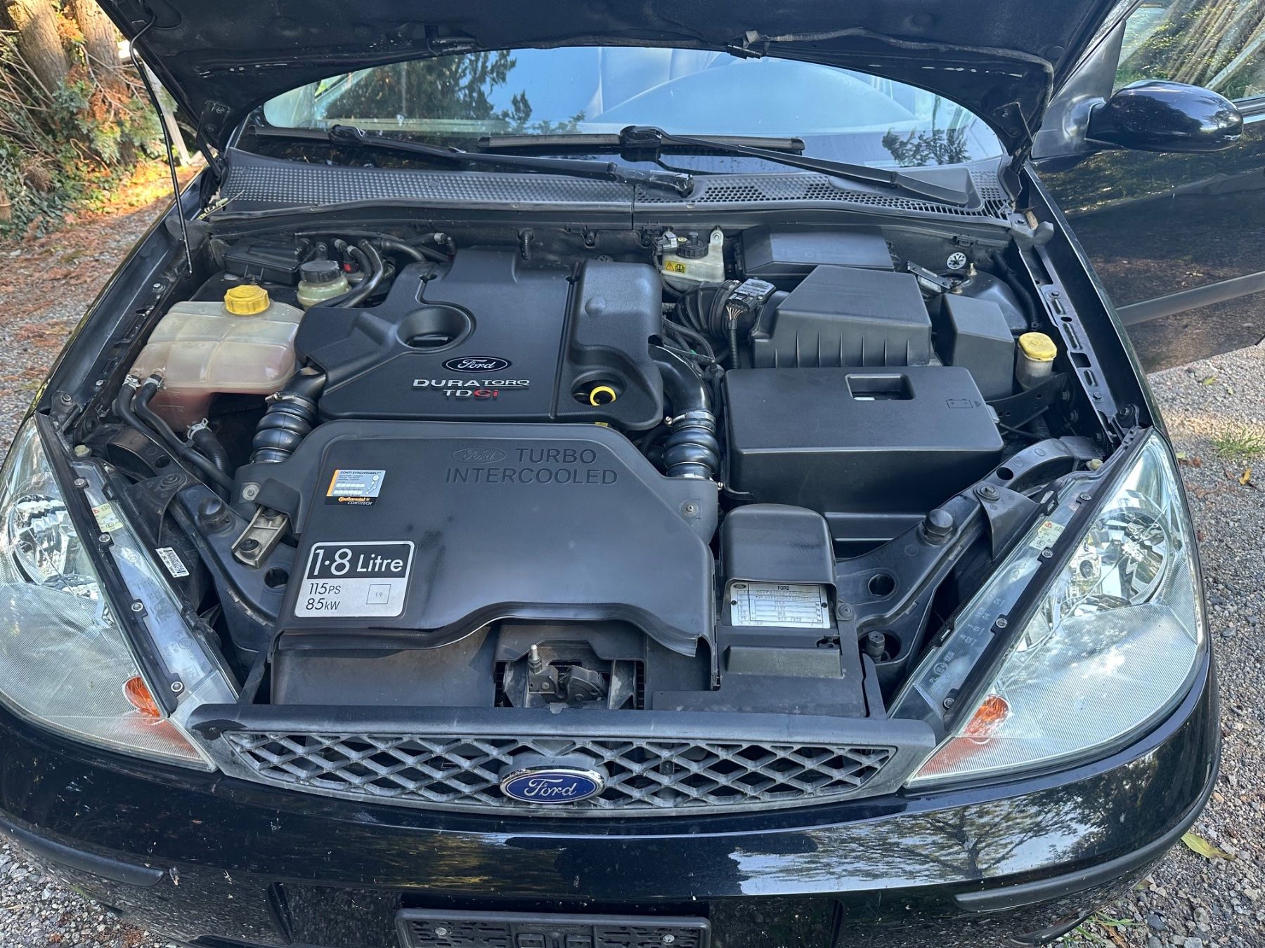 Ford Autos: Ford Focus 1.8 TDCI – D'occasion à Samstagern par Aydelis 7