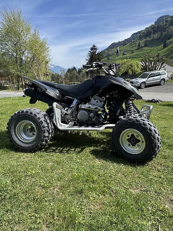 ATV / Quad: Quad arctic cat dvx400 – Usato da Val-d'Illiez venduto da Joackim 1