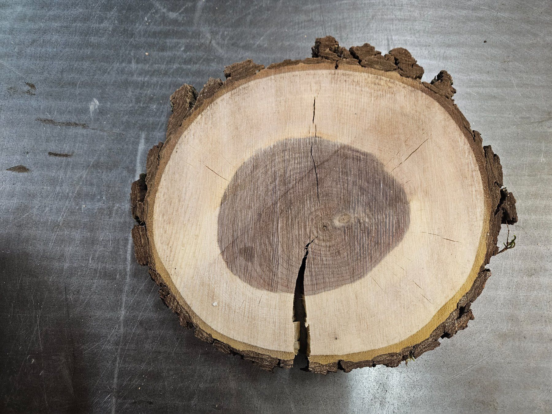 Articoli in legno: Nussbaum Holz Baumscheibe – Nuovo (secondo la descrizione) da Schangnau venduto da egli6.2 3