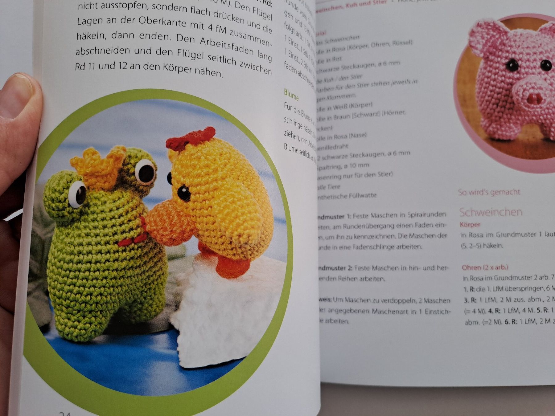 Riviste & Magazine: Happy Häkeln Freche Glücksbringer im Kleinformat NEU – Nuovo (secondo la descrizione) da Glashütten venduto da Schwebefisch 4