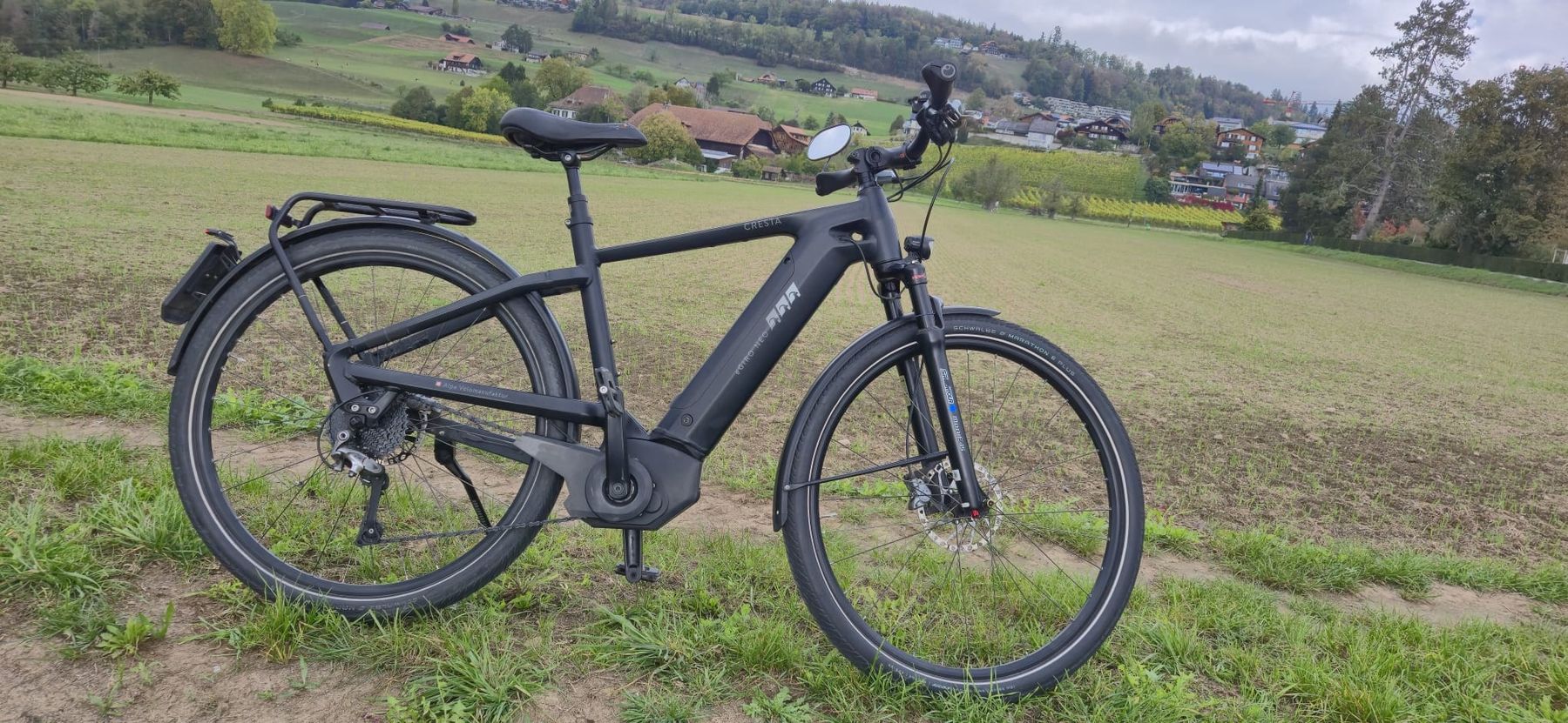Cresta Biciclette: Cresta eGiro Neo 45 km/h – Usato da Steffisburg venduto da RnPerformanceShop 6