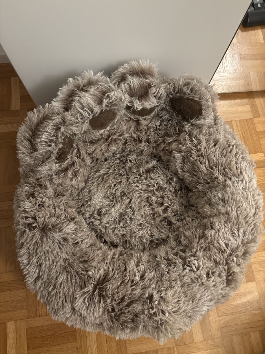 Cucce & Letti: Hunde-/Katzenbett klein – Nuovo (secondo la descrizione) da Zürich venduto da Yasmincayo