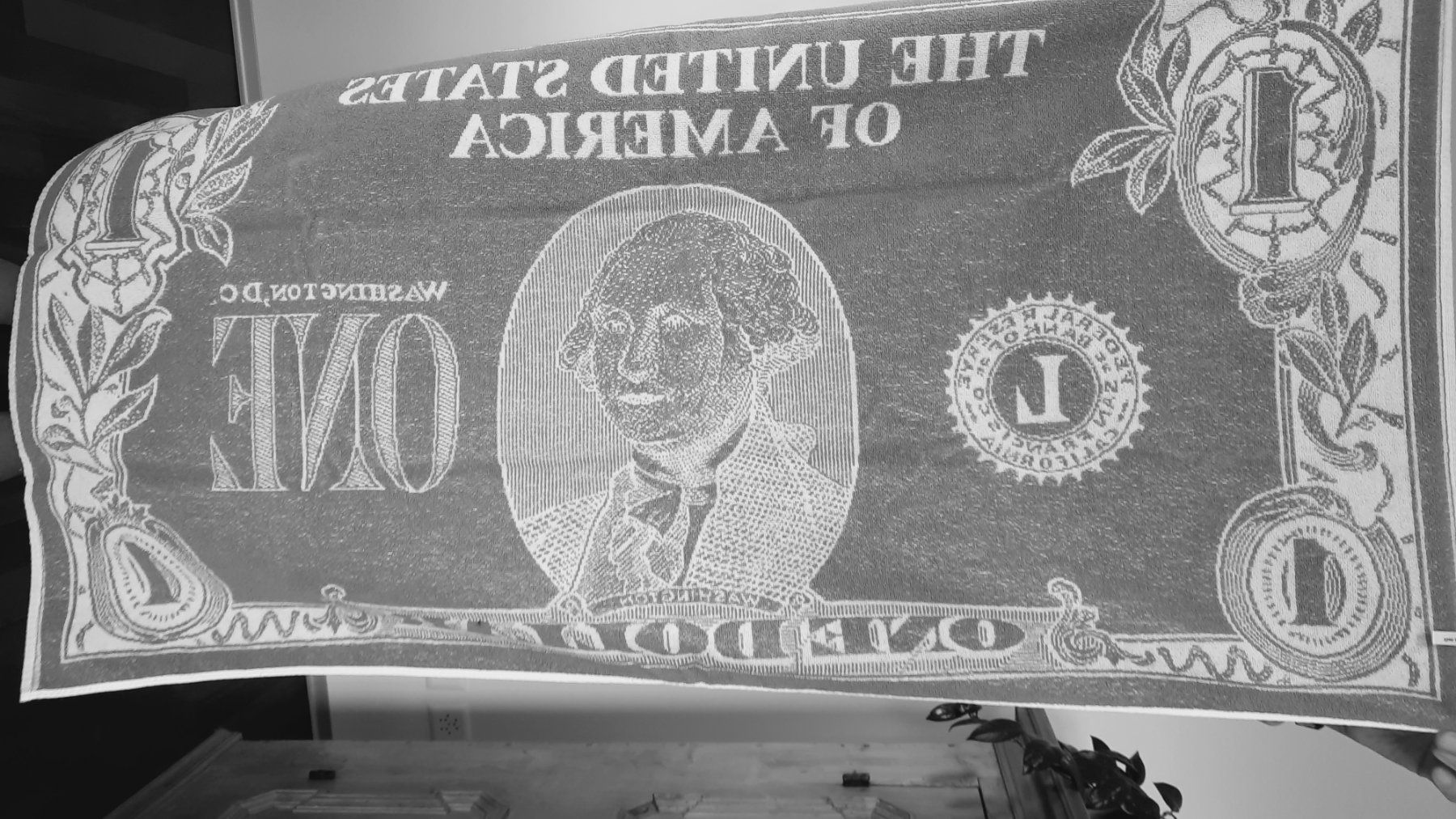 Teli da bagno: Frotteetuch/ Badetuch; als Dollar Note; doppelseitig; 60*120 – Usato da Herrliberg venduto da AlexandraBopp 1