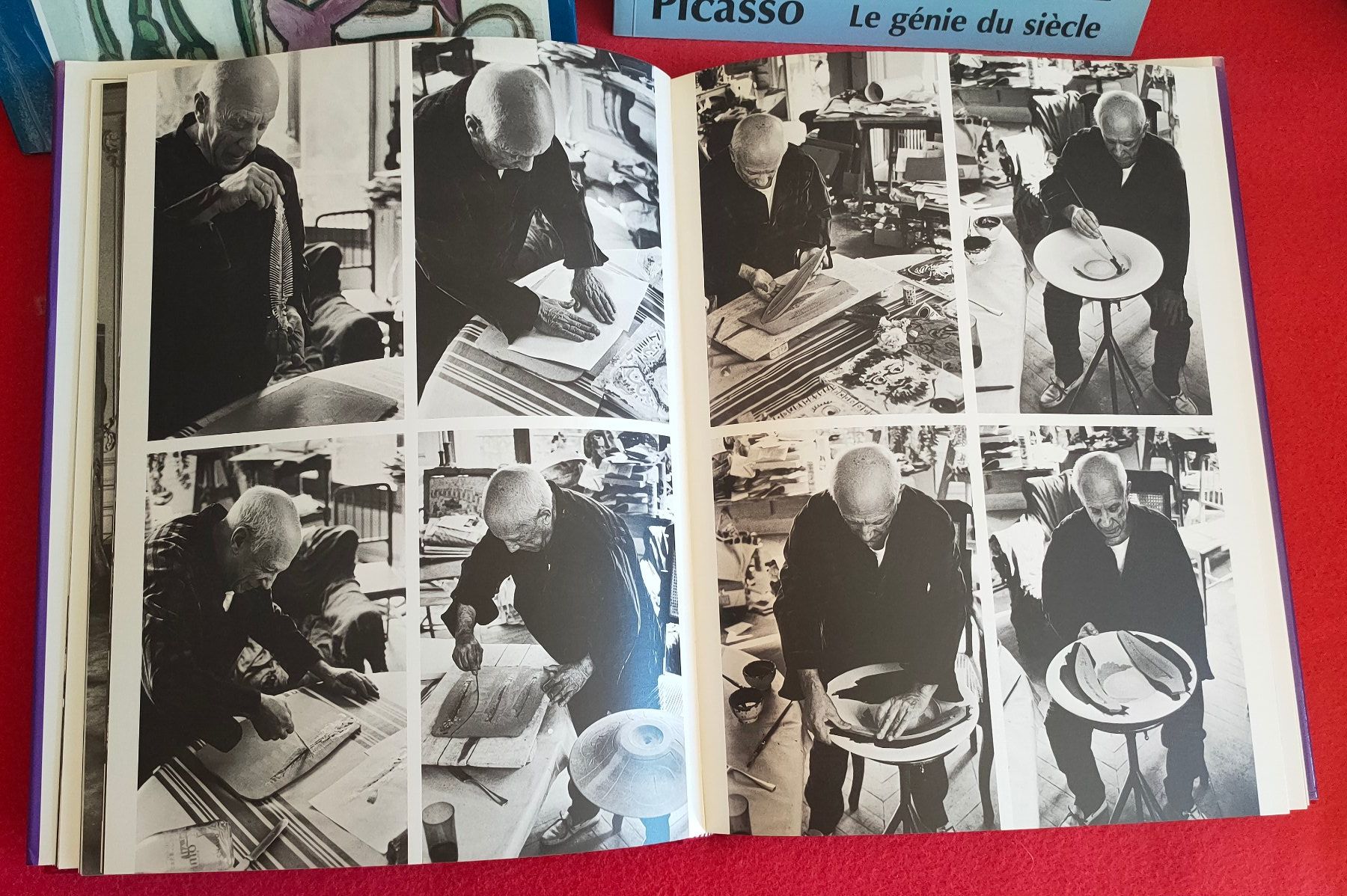 Bücher: Picasso – Gebraucht aus Crans-Montana von Camphill 3