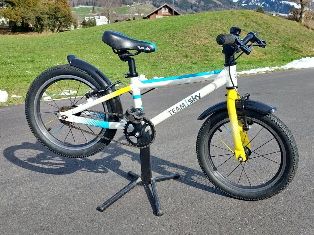 Team sky deals frog bike