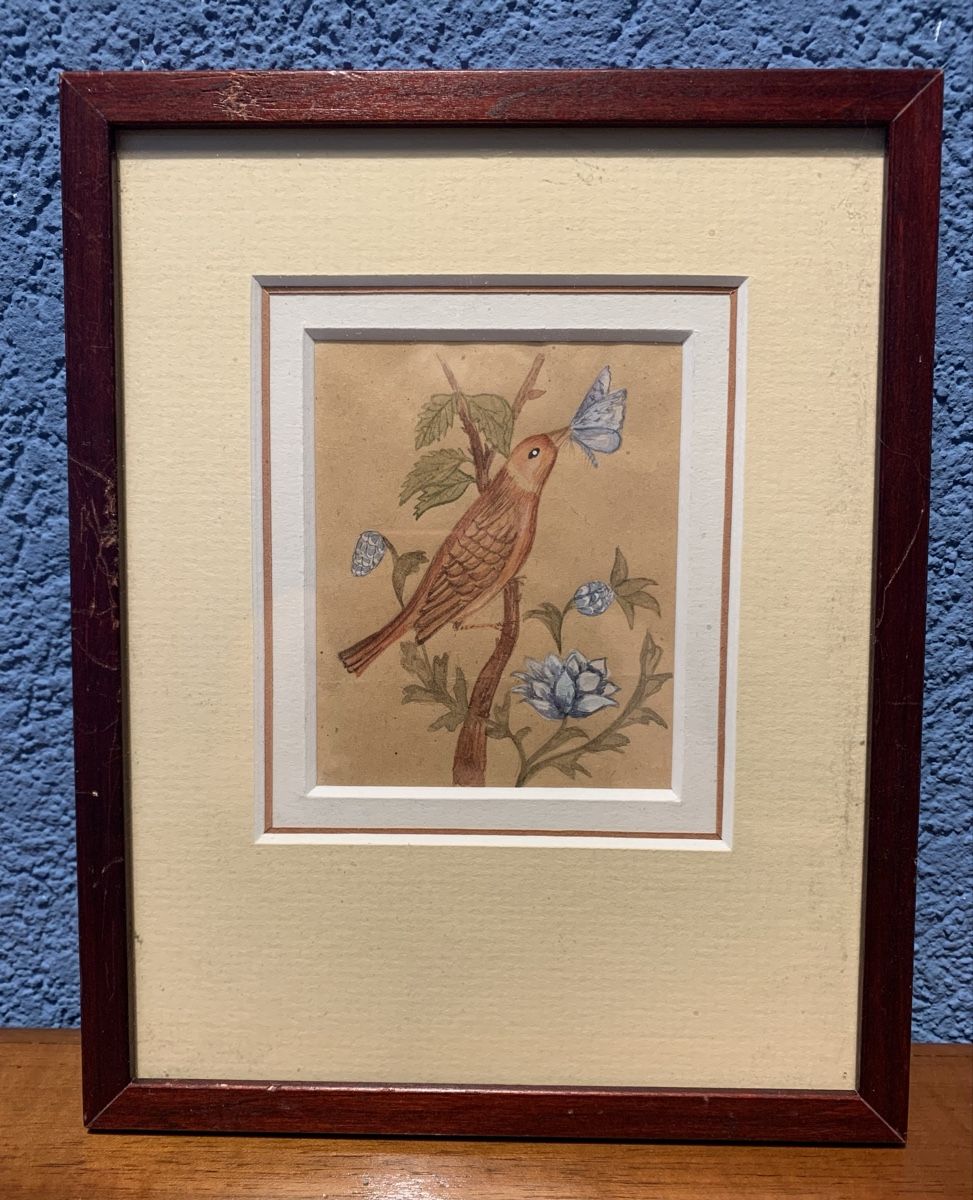 Dipinti: Aquarelle Oiseau au papillon – Usato da Veytaux venduto da Latourelle