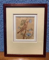 Aquarelle Oiseau au papillon