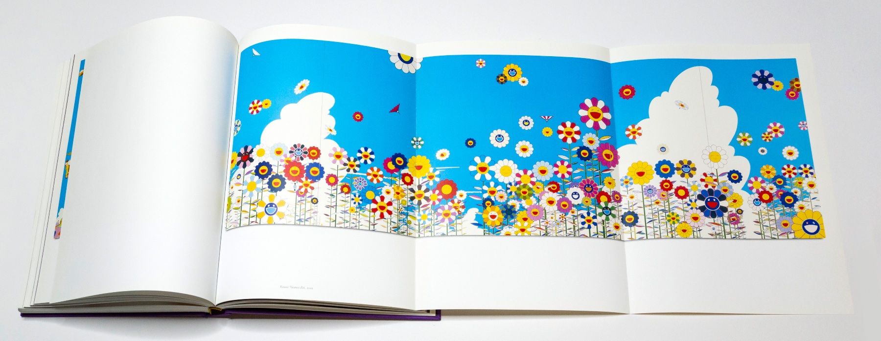 Libri: ©MURAKAMI - TAKASHI MURAKAMI – Usato da St. Gallen venduto da kobayashi-maru 7