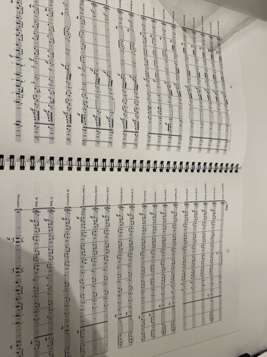 Banconote: Brass Band Noten: Viva Arogno – Nuovo (secondo la descrizione) da Galgenen venduto da Red27 1