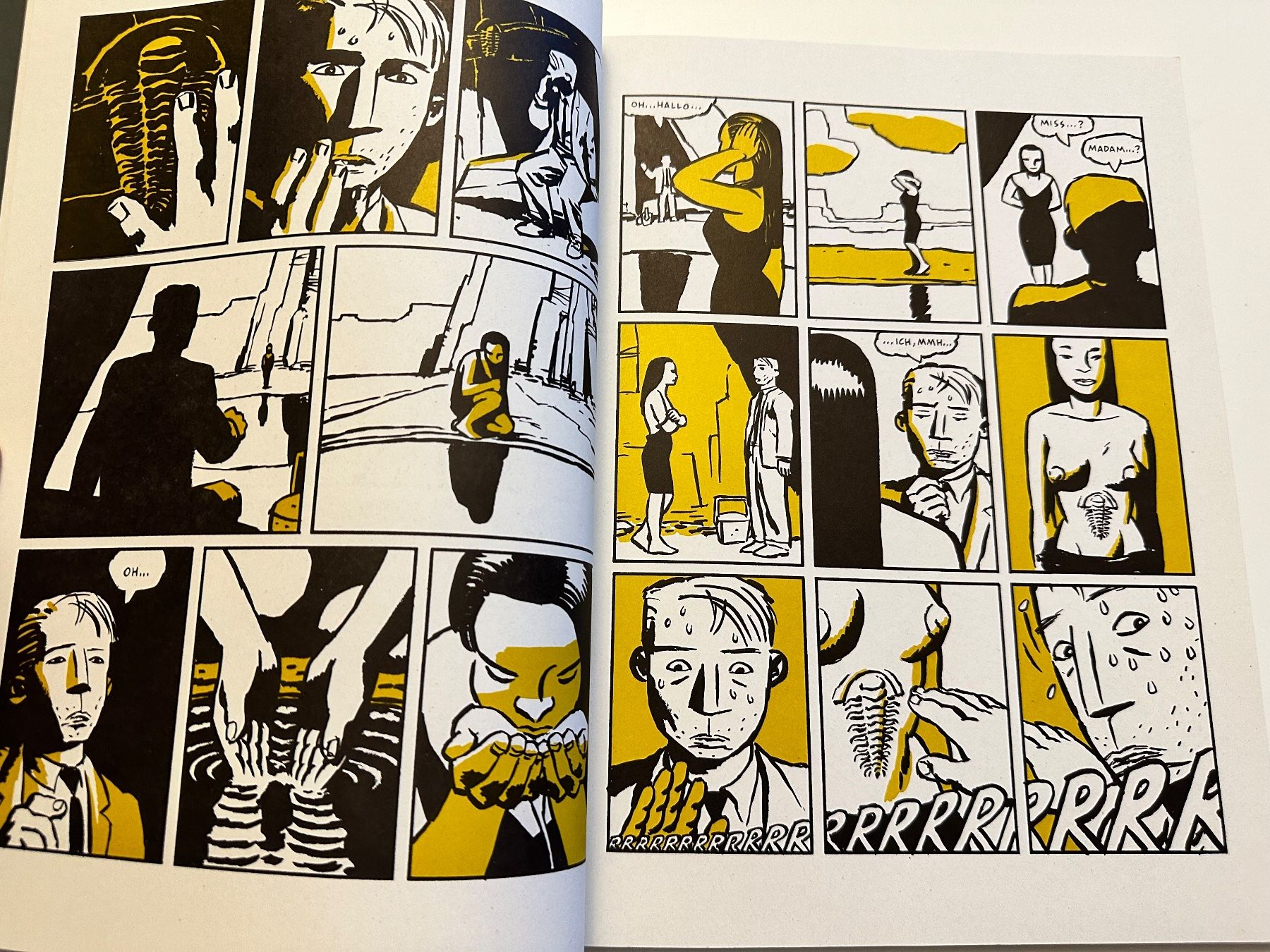 Fumetti: Discovering America - David Mazzucchelli – Usato da Münsingen venduto da Ganjam 4