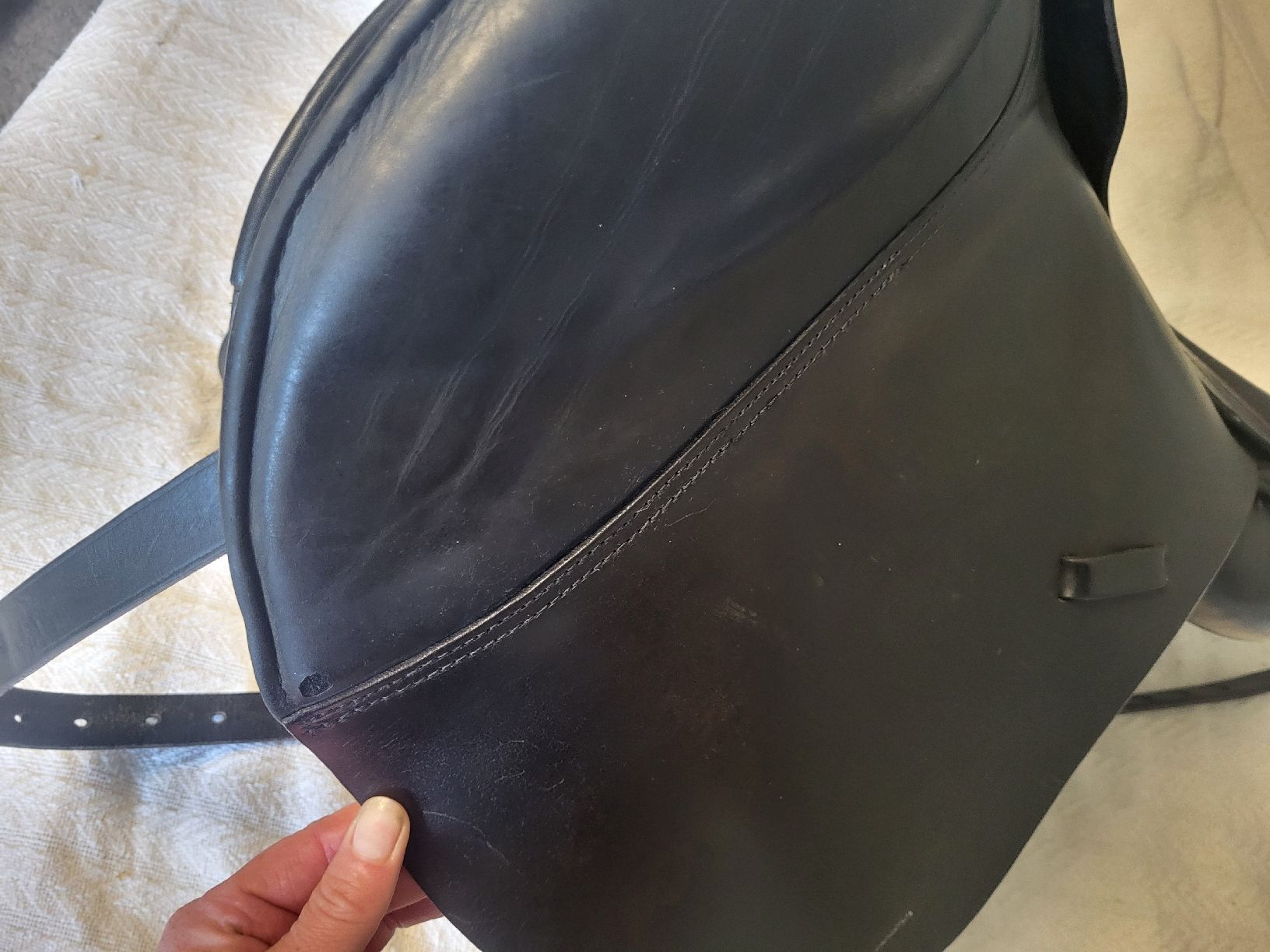 Selle & Accessori: dressursattel kurz 18" massimo – Usato da Zuzwil SG venduto da TSGWEAL1 8