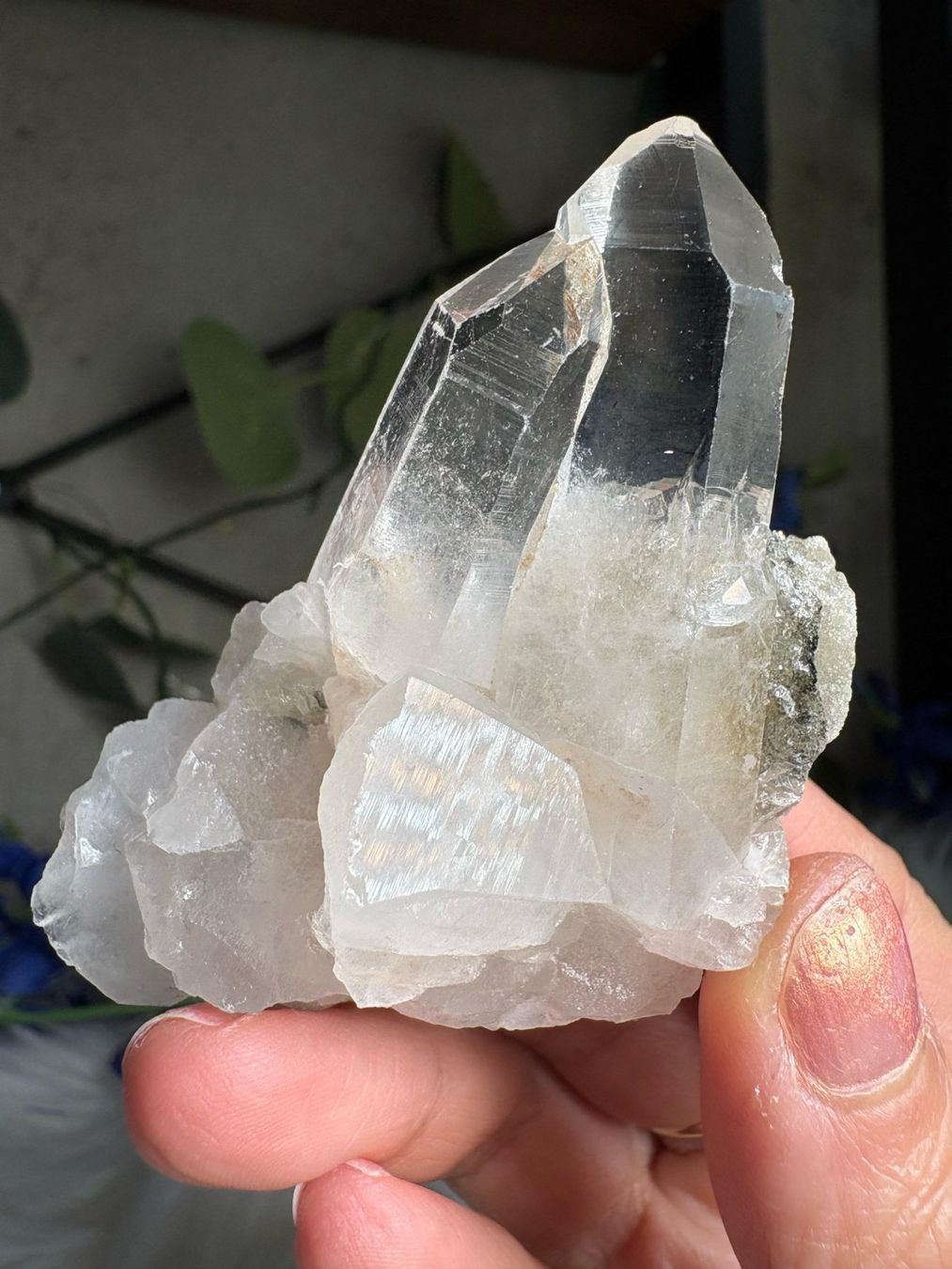 Minerali & Pietre curative: Himalaya-Quarz-Cluster – Nuovo (secondo la descrizione) da Neuheim venduto da m.hald