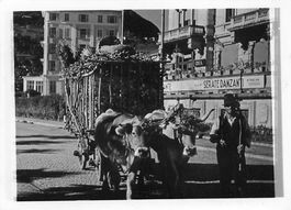 Lugano (TI) Carro di legname davanti all’Albergo Terminus