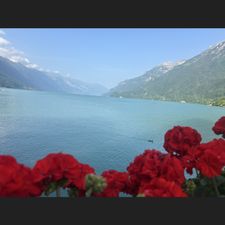 Profile image of Soleil_de_Neuchatel