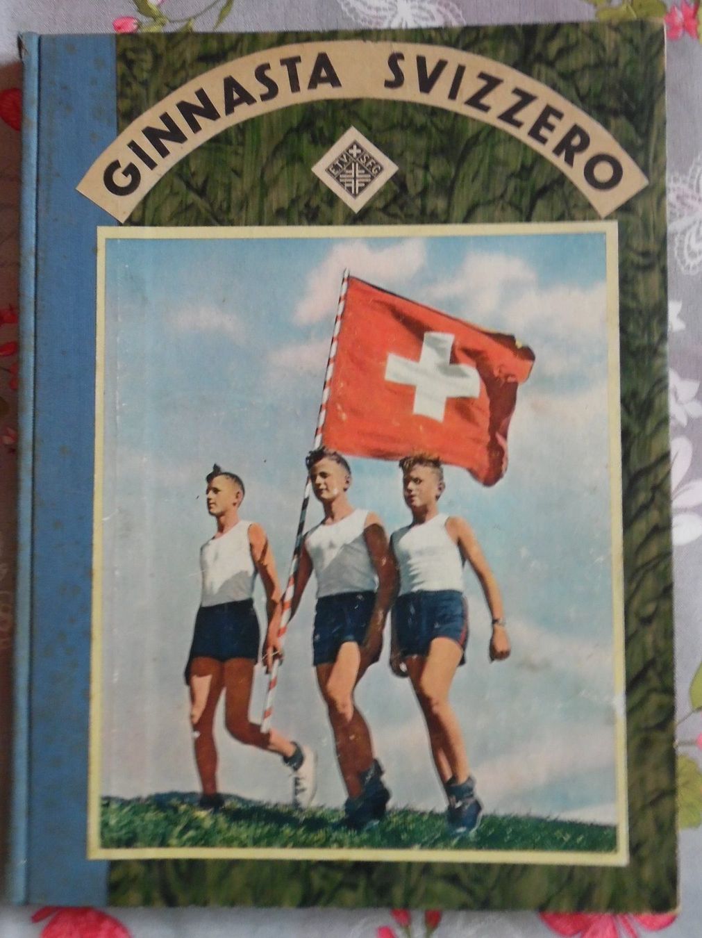 Libri: Antike Bücher Italienisch – Usato da Bellinzona venduto da Luna093 2