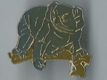 Koala Bärli Pin