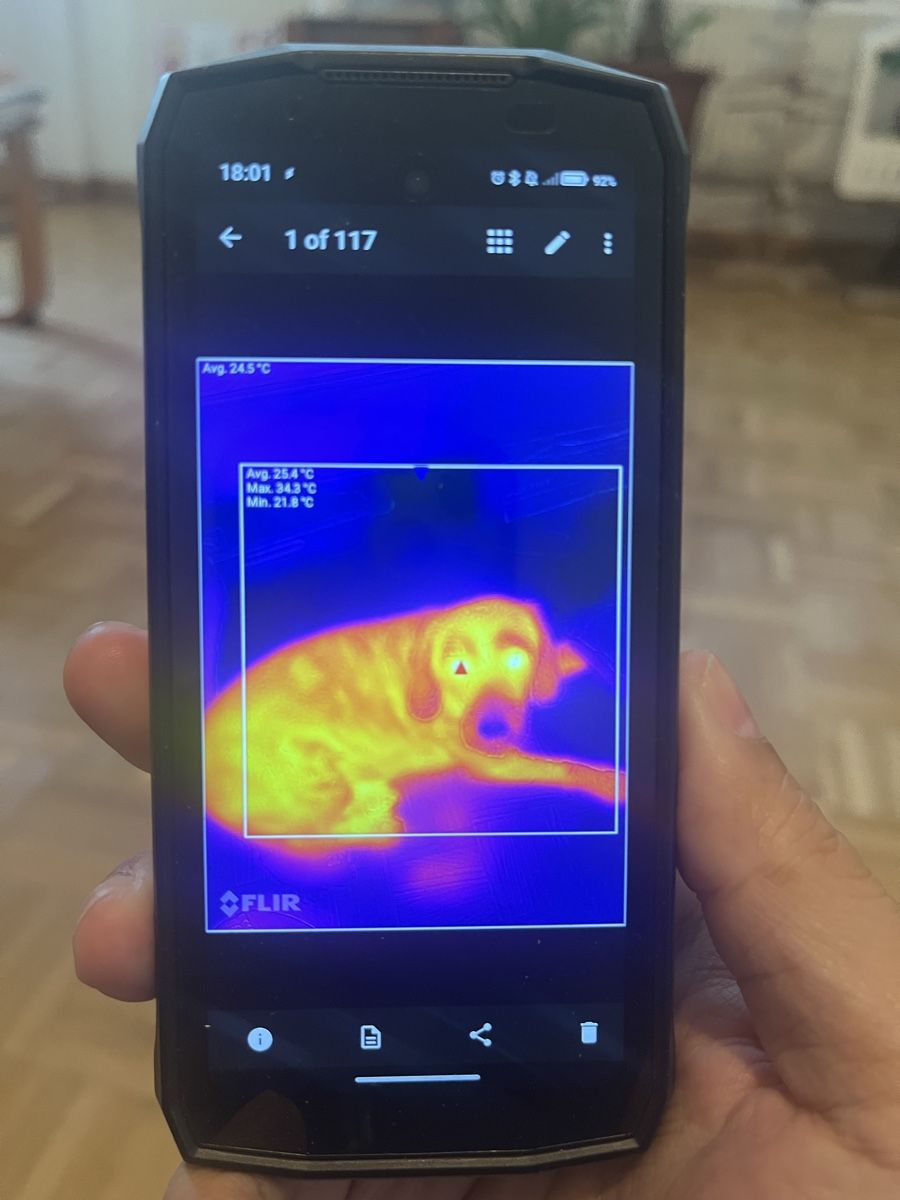 Ulefone Handys / Smartphones: Ulefone 20T pro (w/ thermal camera) – Gebraucht aus Konolfingen von Tom-3735 3