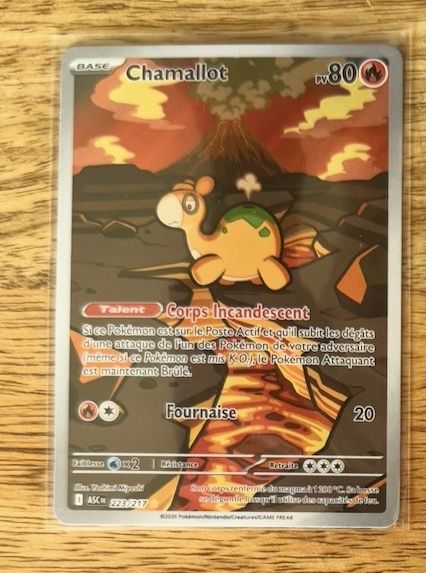 Pokémon Carte collezionabili: Carte Pokémon - Chamallot – Nuovo (secondo la descrizione) da Meyrin venduto da Sabrina310316