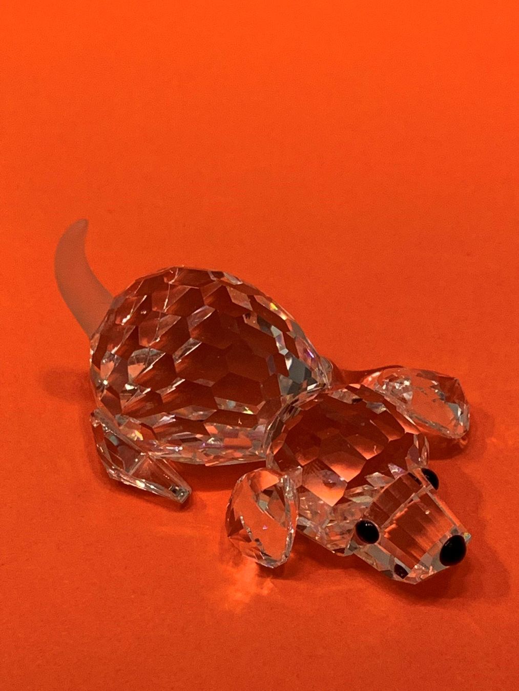 Swarovski Statuette: Swarovski Hund mit OVP – Nuovo e nell'imballaggio originale da Oberglatt ZH venduto da Multimix 1